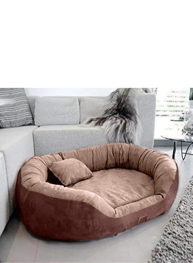 DRILLY Ultra-Premium Fur Washable Dog/cat Bed with Small |Medium |Large | Extra Large | XXL |XXXL | 4XL Size Dogs | Cats | Puppy | pet | Rabbit | Persian cat | Indoor cat, (XL)